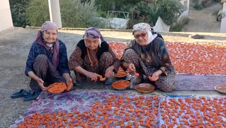 90 Yaşındaki Komşuların Tarhana Geleneği Uzun Ömür Sırrı