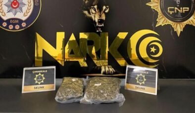 Çanakkale'de 1 kilo 700 gram skunk ele geçirildi – Güncel haberler