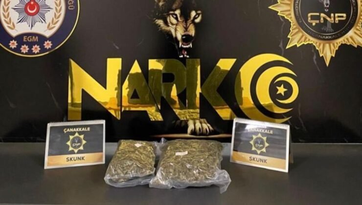 Çanakkale'de 1 kilo 700 gram skunk ele geçirildi – Güncel haberler