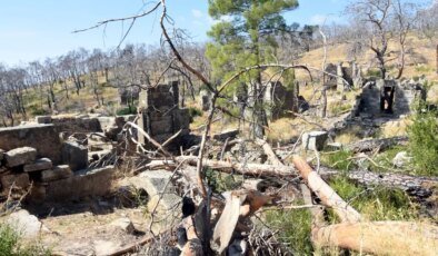 Manavgat’taki Antik Kent Yangınından Zarar Gördü