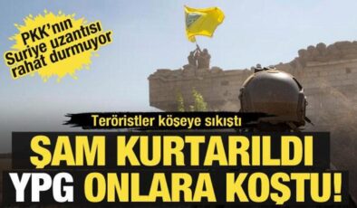 Golani özerkliğe karşı çıktı! YPG bölgede kimsesiz kalınca sırtını İsrail’e yasladı!