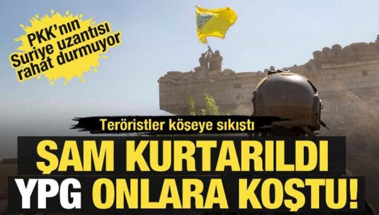 Golani özerkliğe karşı çıktı! YPG bölgede kimsesiz kalınca sırtını İsrail’e yasladı!