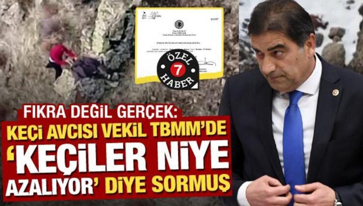 Kaçak avla gündeme gelen milletvekili TBMM’de ‘keçiler niye azalıyor’ diye önerge vermiş