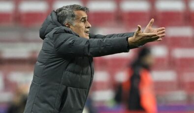 Şenol Güneş: "Başaramadık, hatalar yaptık"